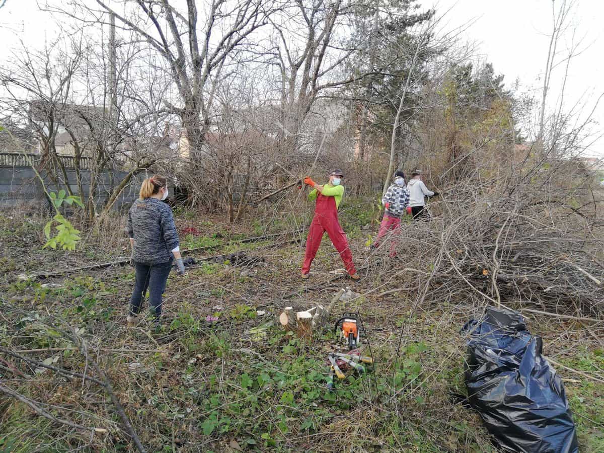 zeci de voluntari au participat la curățarea liniilor mocăniței pe timp de carantină