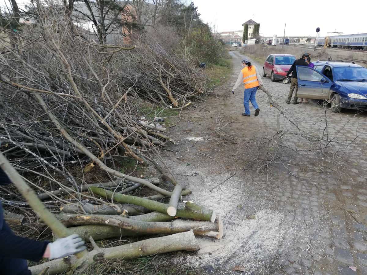 zeci de voluntari au participat la curățarea liniilor mocăniței pe timp de carantină