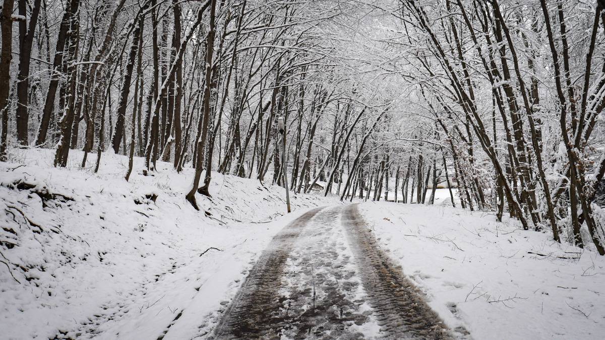 VIDEO FOTO: Feerie în Muzeul în Aer Liber - Cadru de basm în miezul iernii