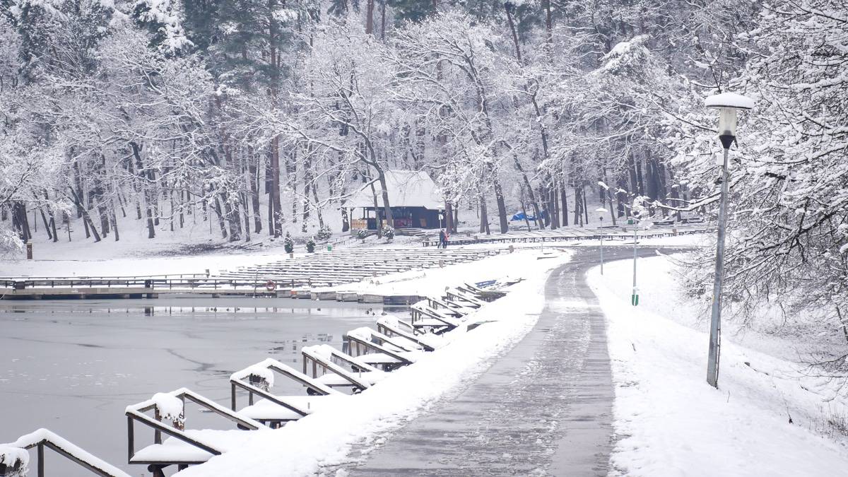 VIDEO FOTO: Feerie în Muzeul în Aer Liber - Cadru de basm în miezul iernii