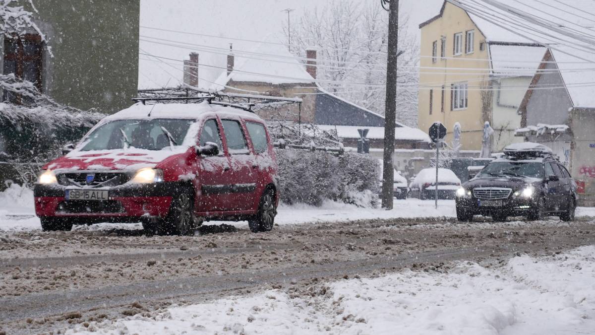 cod galben de ninsori în sudul județului sibiu până joi