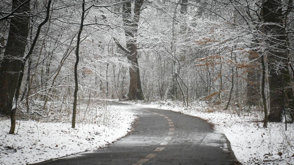 Ninge pe mai multe drumuri din zona montană a Sibiului