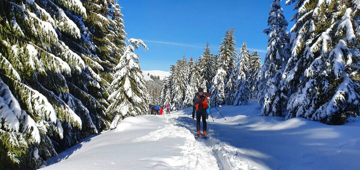 Pentru cei care vor să schieze la iarnă în străinătate - Agențiile de turism recomandă rezervarea din timp