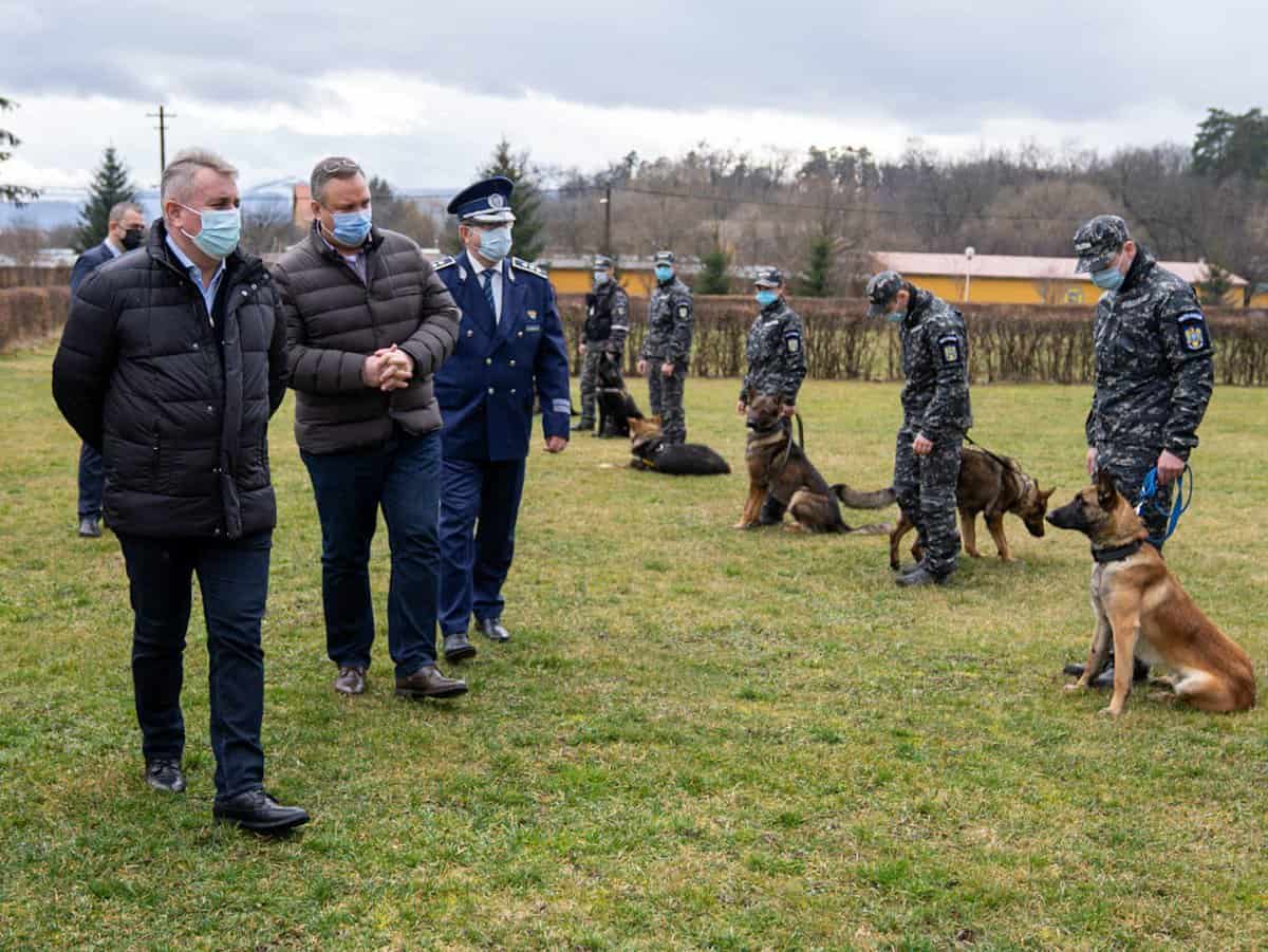 FOTO - Unic în România - La Sibiu sunt antrenați singurii câini care detectează bolnavii cu Covid-19