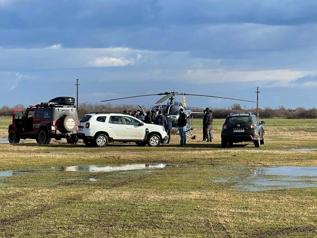 video: câini din sibiu trimiși la arad ca să caute un copil dispărut