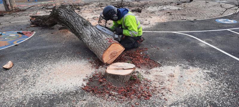 video foto - nemulțumiri legate de noul parc din piața cluj - locuitorii arată cu degetul spre primărie