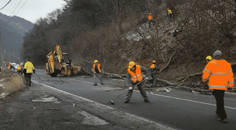 trafic intermitent pe valea oltului, între lazaret și boița - se taie copacii