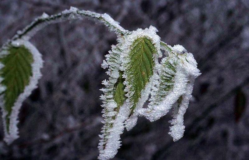 vremea pe o lună - temperaturi mai scăzute decât cele normale