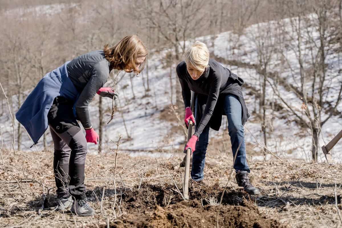 raluca turcan a plătit amenda pentru nepurtarea măștii - ’’fina mea de la sibiu a mers să o achite’’