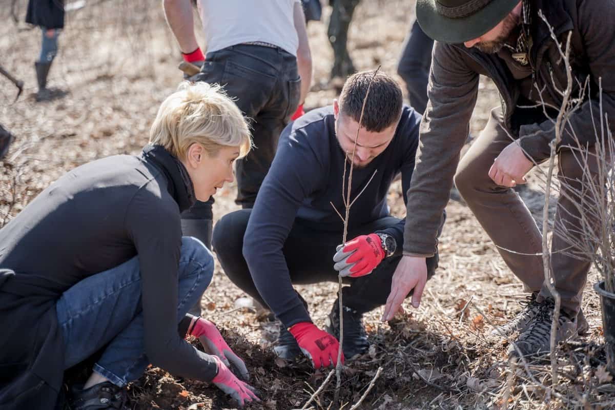 FOTO Adrian Bibu internat cu covid, după ce a plantat pomi alături de Cîmpean și Turcan - Niciunul nu avea mască