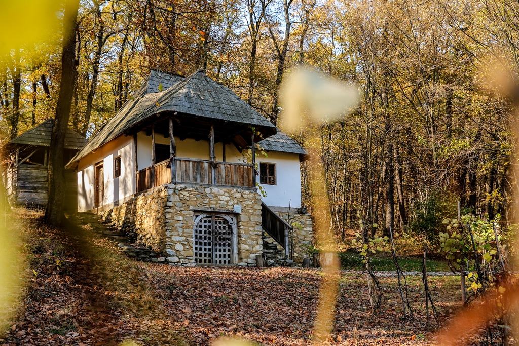 invitație - atelier de pictură și ghidaj în pomicultură la muzeul în aer liber