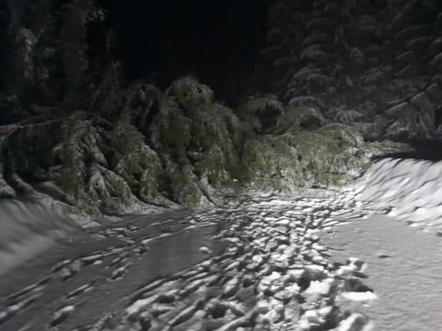 foto: mașină zdrobită de un brad la păltiniș