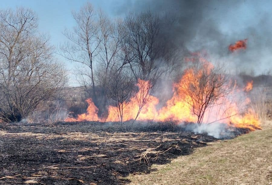 incendiu de vegetație la sibiel