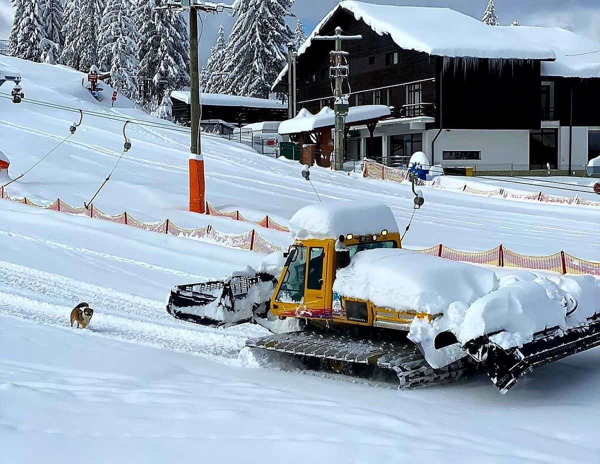 se prelungește sezonul de schi - în păltiniș stratul de zăpadă este de 112 centimetri