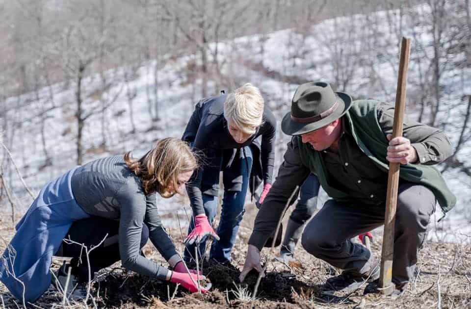 FOTO Adrian Bibu internat cu covid, după ce a plantat pomi alături de Cîmpean și Turcan - Niciunul nu avea mască