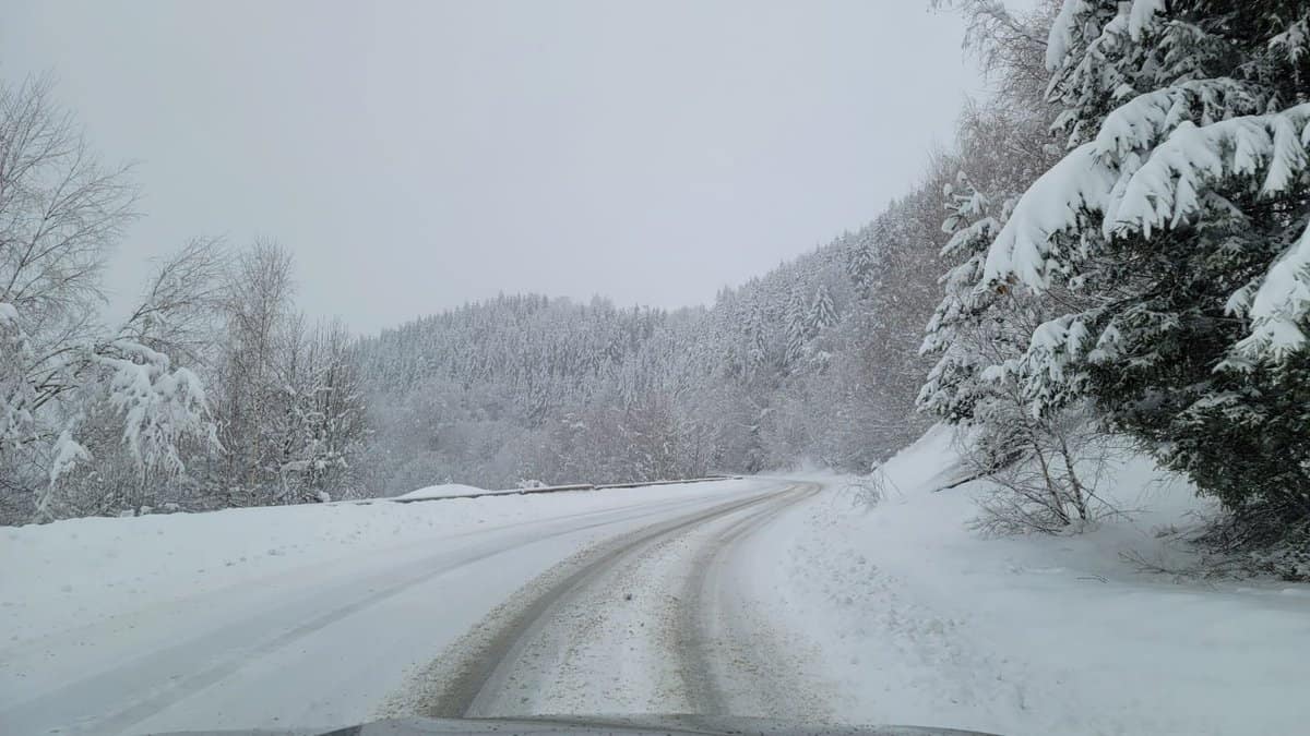 foto video vreme de iarnă la mijloc de martie - la sibiu va fi lapoviță și ninsoare până sâmbătă