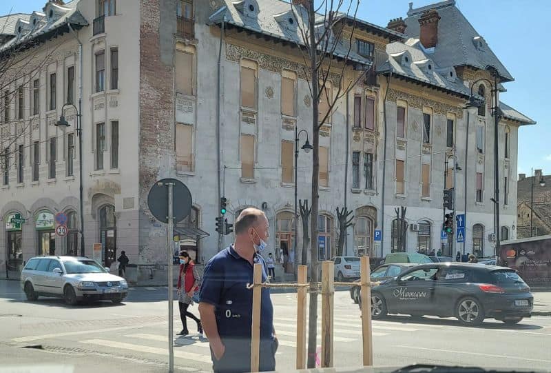 foto - angajați ai primăriei sibiu cu masca sub bărbie, la plantat de copaci