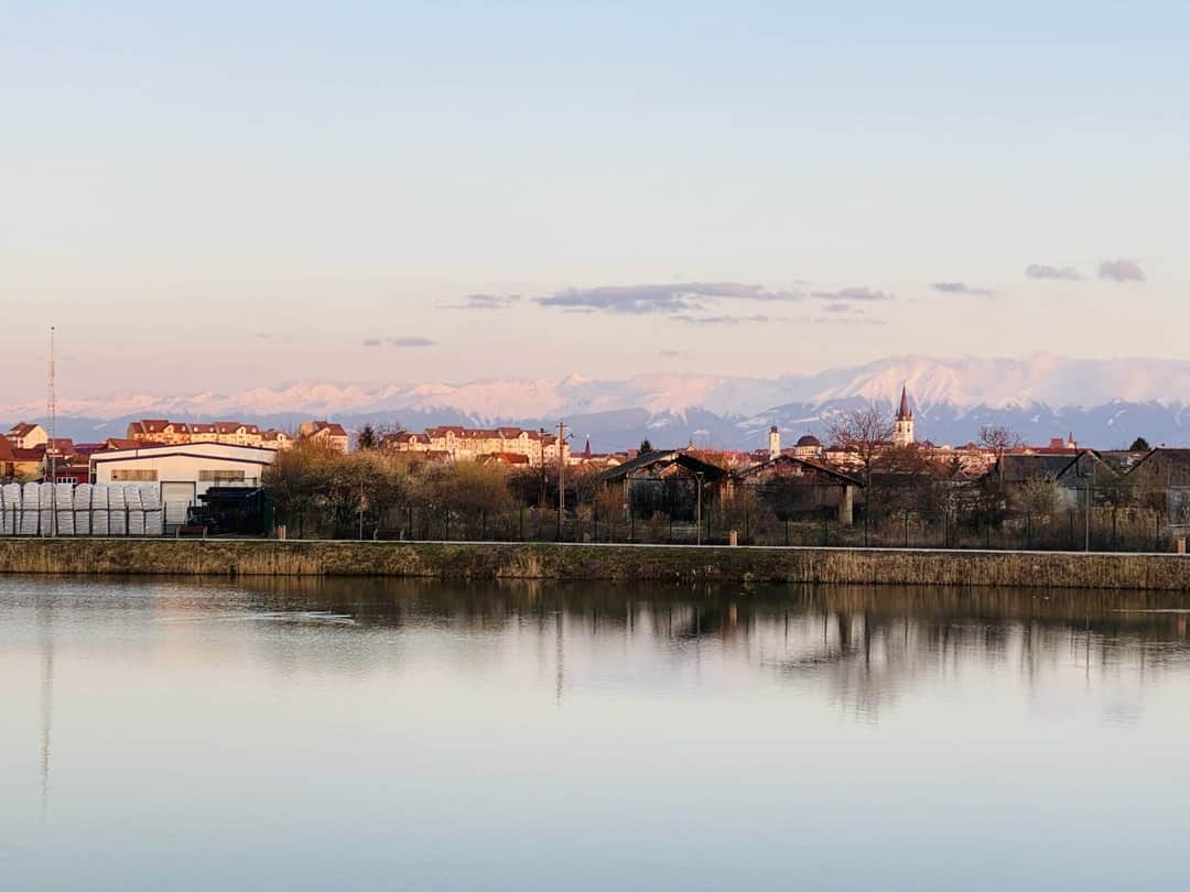 sibiul se dezvoltă în zona de vest. vezi motivele