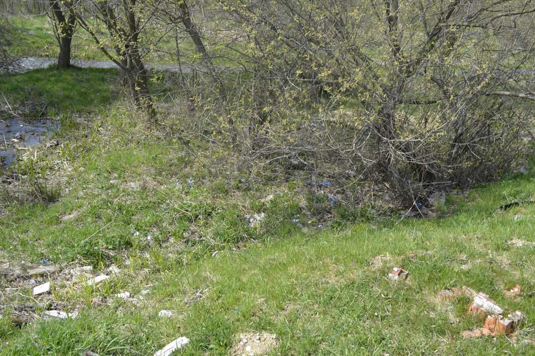 FOTO - Dezastru ecologic pe Valea Sevișului - Gunoaie la tot pasul - Râul este efectiv ''sufocat'' de mizerie