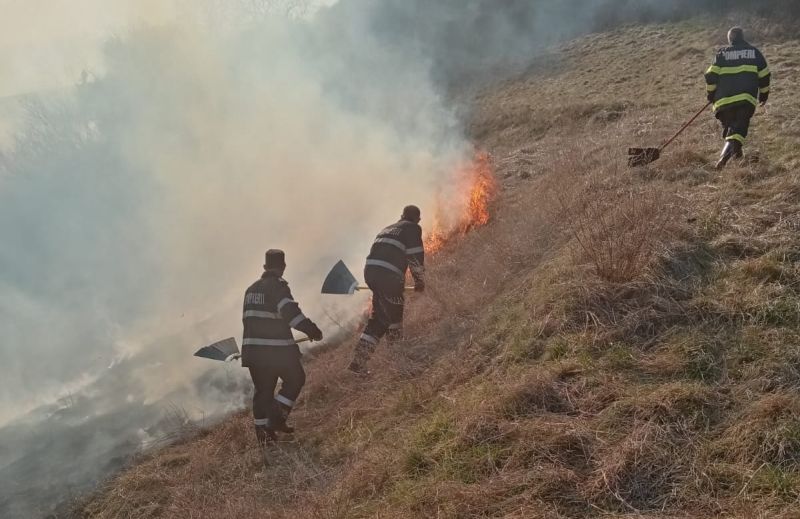 FOTO Incendii de vegetație la Orlat și Mediaș