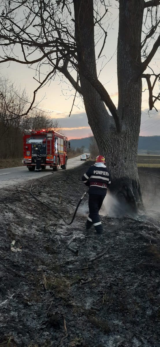 FOTO Incendii de vegetație la Orlat și Mediaș