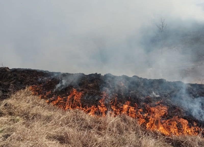 FOTO Incendii de vegetație la Orlat și Mediaș