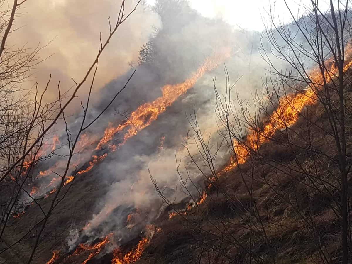 FOTO Incendii de vegetație la Orlat și Mediaș