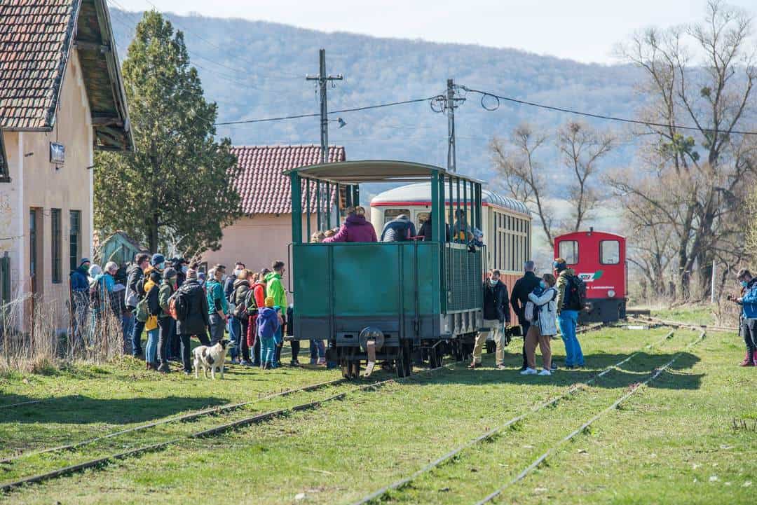 Mocănița a șuierat din nou pe Valea Hârtibaciului - Imagini superbe de la cursa din weekend