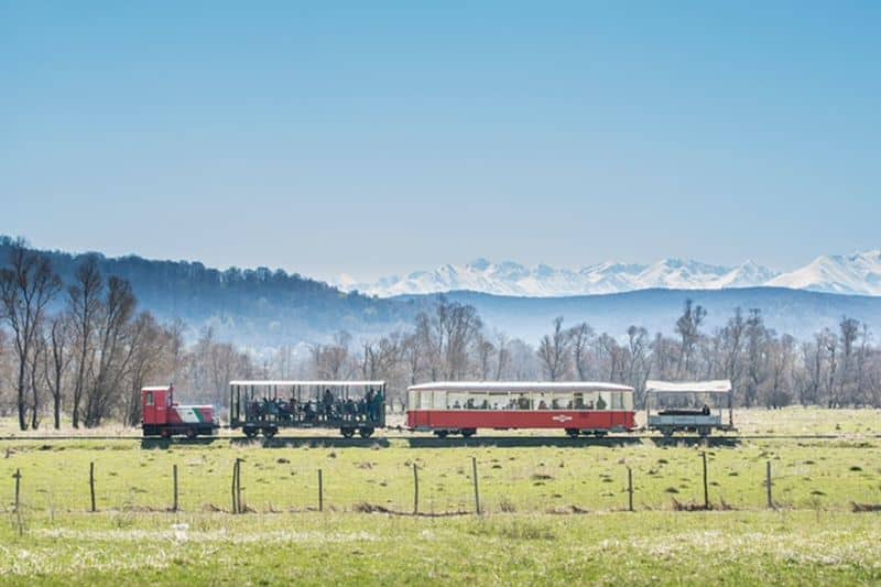 mocănița circulă din nou între cornățel și cașolț după 20 de ani