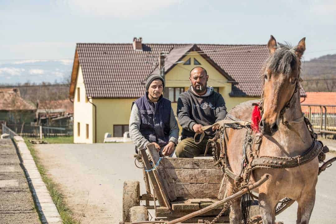 Mocănița a șuierat din nou pe Valea Hârtibaciului - Imagini superbe de la cursa din weekend