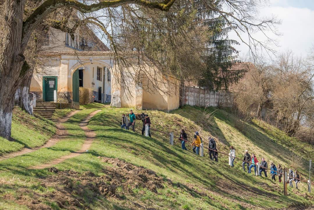 Mocănița a șuierat din nou pe Valea Hârtibaciului - Imagini superbe de la cursa din weekend