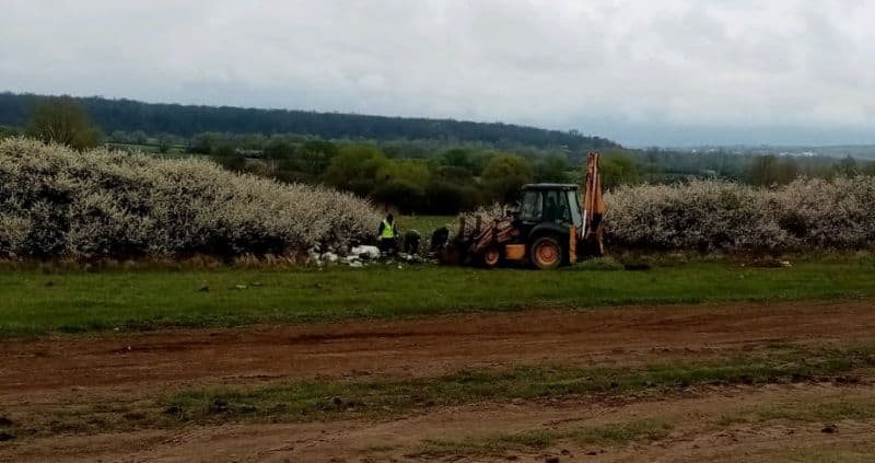 foto pieile de oi aruncate in zona avantgarden, adunate de autorități