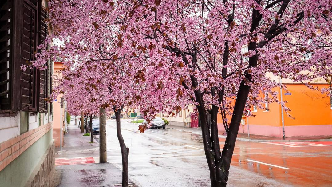 video foto: imagini superbe la sibiu - strada tudor vladimirescu, desprinsă din povești