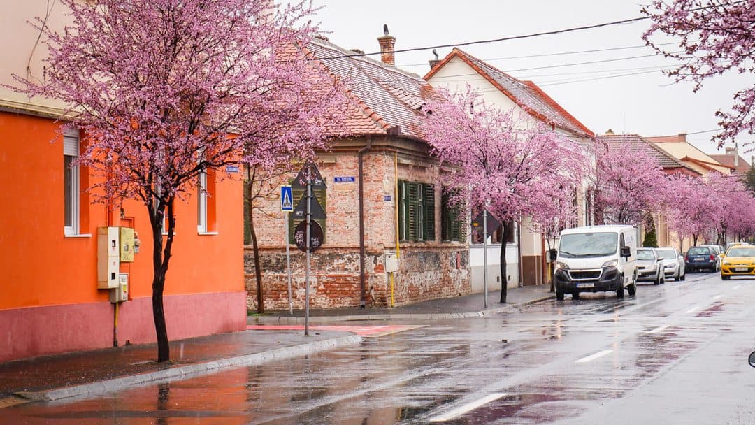 video foto: imagini superbe la sibiu - strada tudor vladimirescu, desprinsă din povești