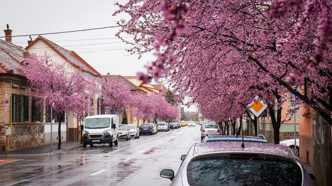 video foto: imagini superbe la sibiu - strada tudor vladimirescu, desprinsă din povești