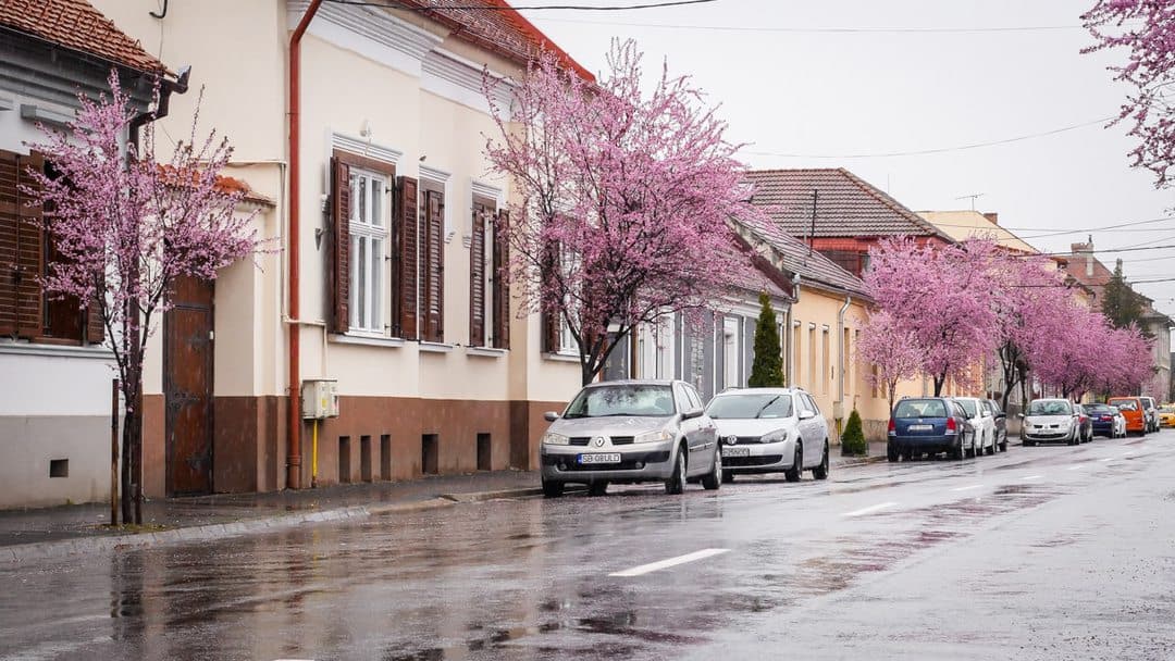 video foto: imagini superbe la sibiu - strada tudor vladimirescu, desprinsă din povești