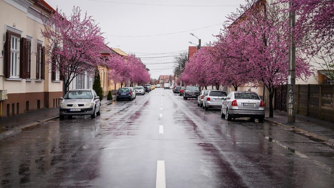 video foto: imagini superbe la sibiu - strada tudor vladimirescu, desprinsă din povești