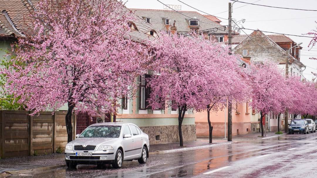 video foto: imagini superbe la sibiu - strada tudor vladimirescu, desprinsă din povești