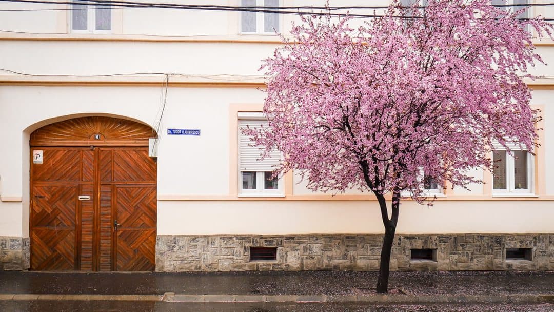 video foto: imagini superbe la sibiu - strada tudor vladimirescu, desprinsă din povești