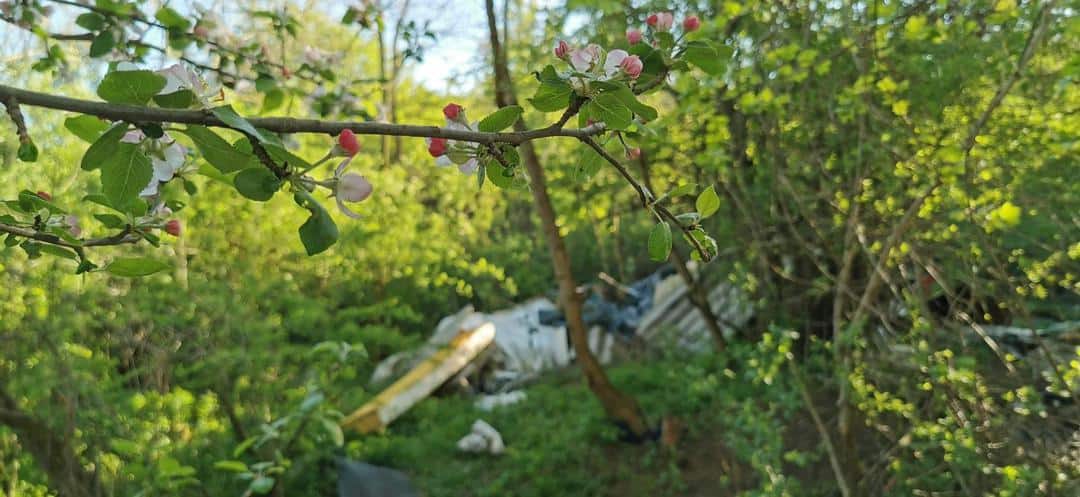 foto: pădurea din dealul gușteriței, plină de gunoaie - „e partea nevăzută a sibiului”