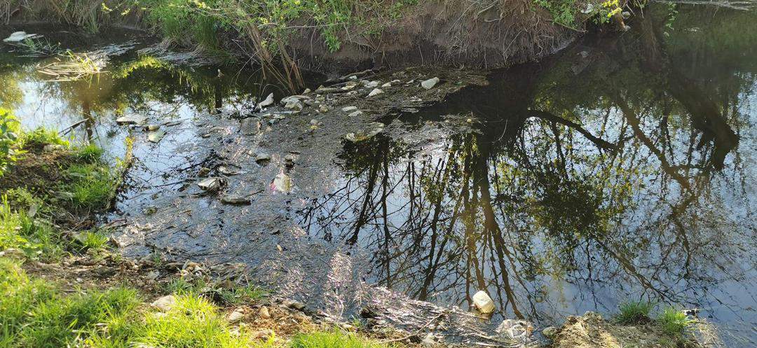 foto: pădurea din dealul gușteriței, plină de gunoaie - „e partea nevăzută a sibiului”