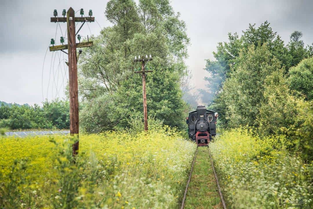 tot ce poți face de 1 iunie în sibiu și împrejurimi