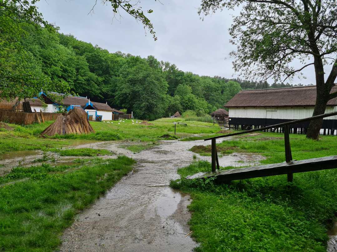 foto inundații în muzeul astra- trinkbach-ul a dat pe afară