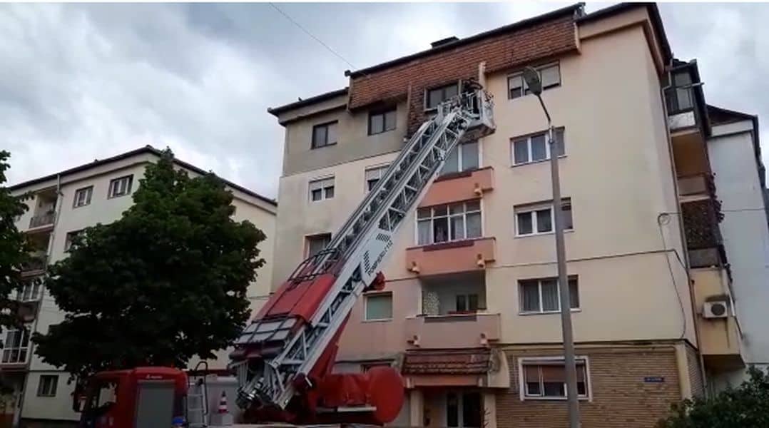 VIDEO Porumbel blocat pe acoperișul unui bloc - Pompierii l-au salvat