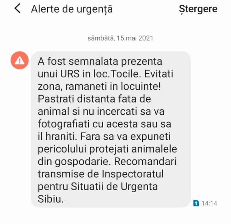 alertă la tocile - un urs s-a apropiat de case