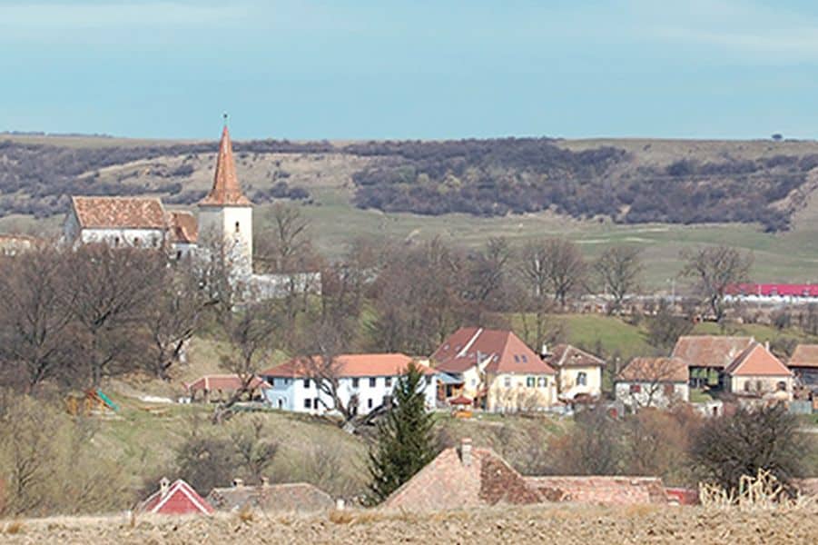 avalanșă de cazuri de hepatită în pandemie în județul sibiu - majoritatea în două focare la roșia și avrig