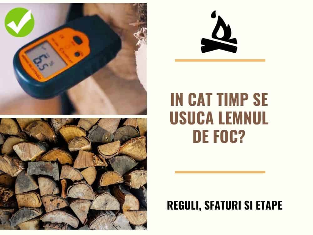 cat timp si cum se usuca lemnul de foc? recomandari, reguli si etape!