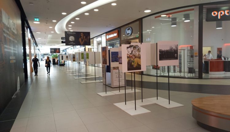 sibiul, prin ochii sibienilor – concurs de fotografie inițiat de shopping city sibiu - expoziția foto „aventură în natură”, deschisă până pe 30 iunie