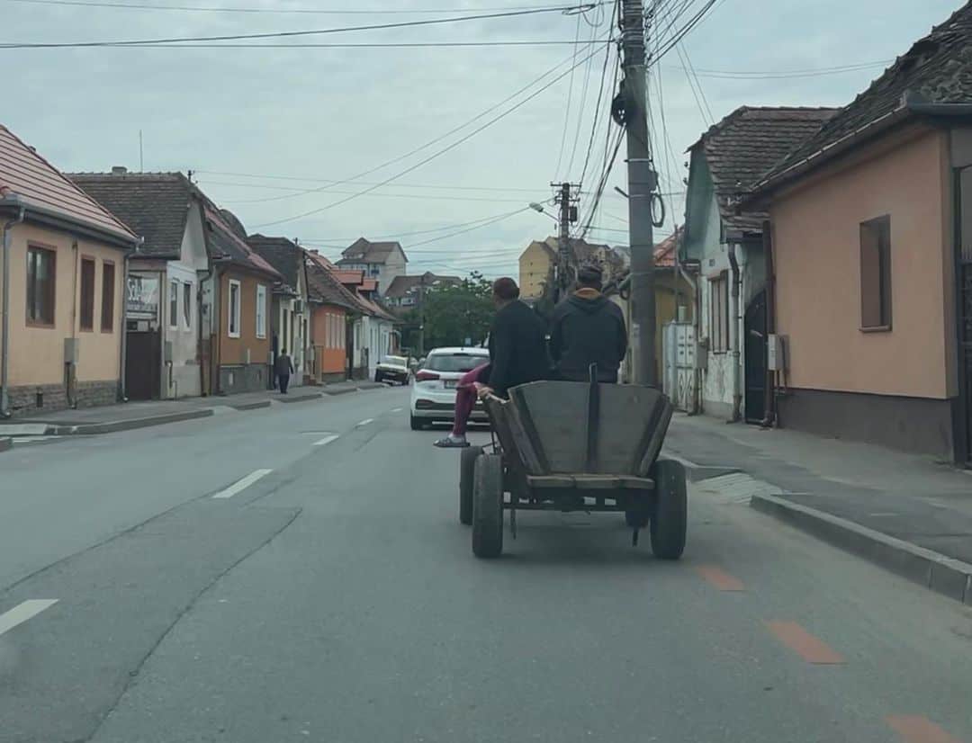 video: fain la oraș - un căruțaș mână calul în rând cu mașinile la sibiu