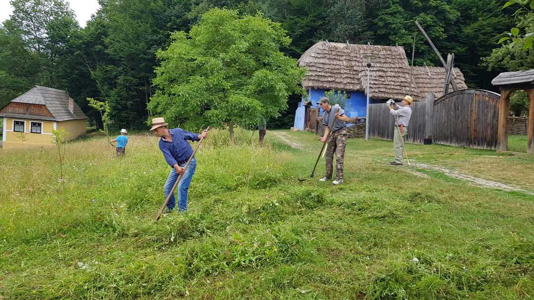 Invitație la cosit în Muzeul în Aer Liber